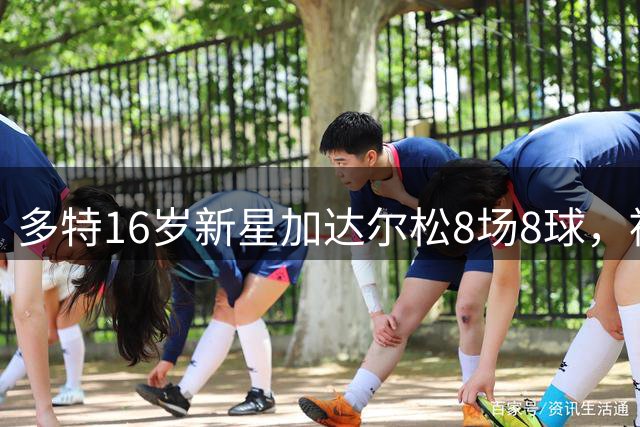 多特16岁新星加达尔松8场8球，被誉新哈兰德